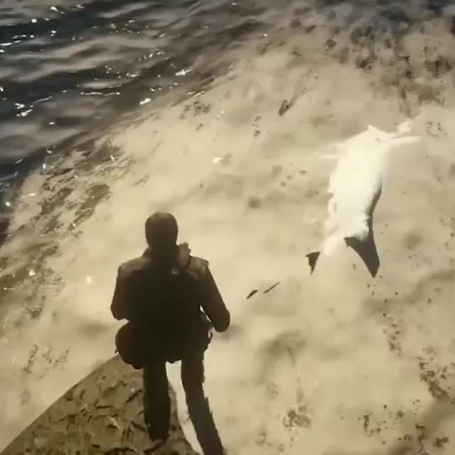 Red Dead Redemption: General - Shark found in RDR2 🦈😱 video cover image 0