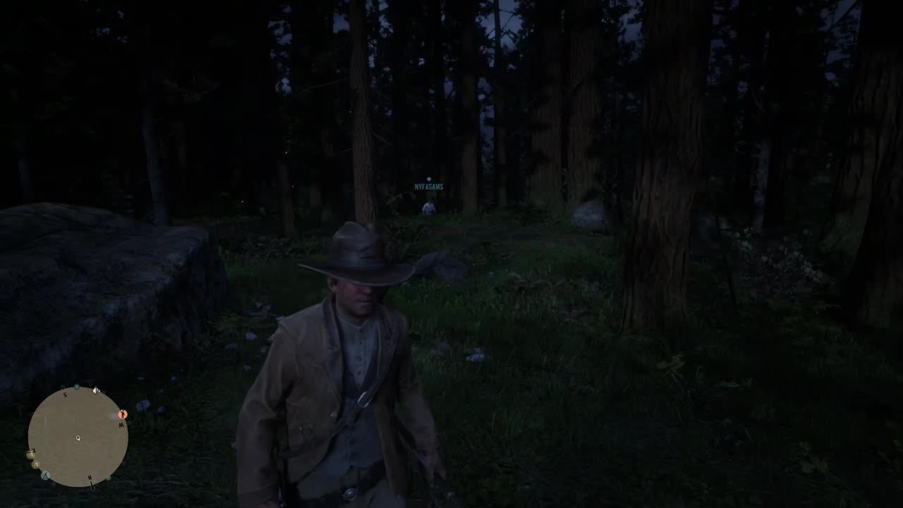 Red Dead Redemption: General - Red dead online mistakes #1 video cover image 1