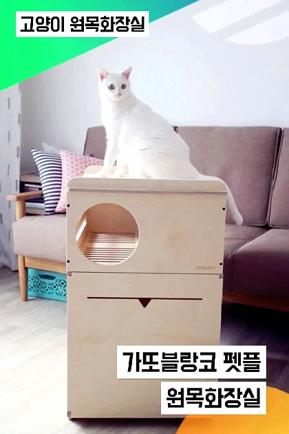 고양이화장실 가또블랑코 펫플 복층화장실로 사막화 잡아요 :)
