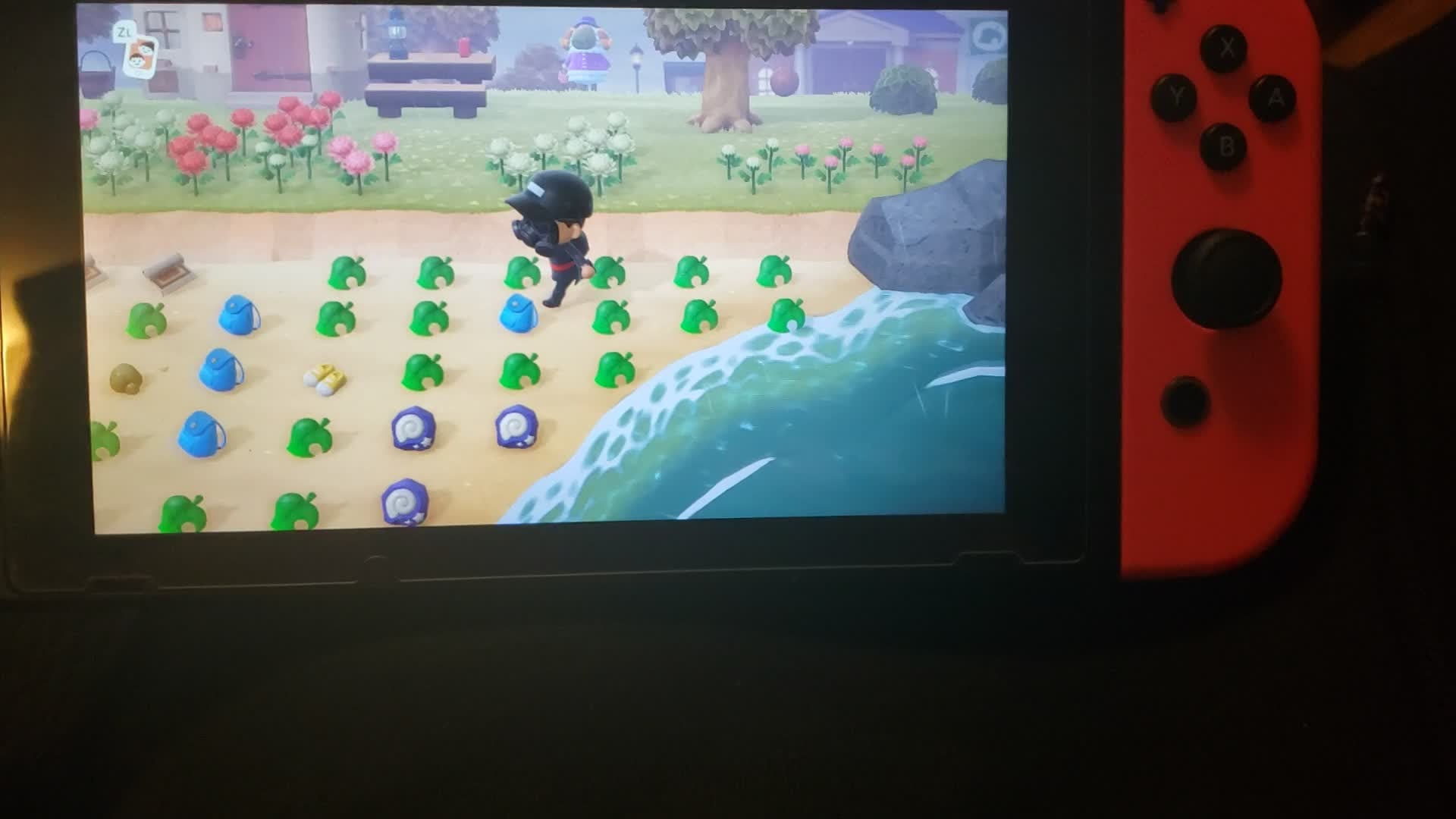 Animal Crossing: Trading - Someone's island exploded video cover image 1