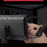 I saved this off tiktok thought that this was funny and true 