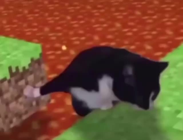 Off Topic: General - Goodbye π₯Ίππ»ββοΈ video cover image 1
