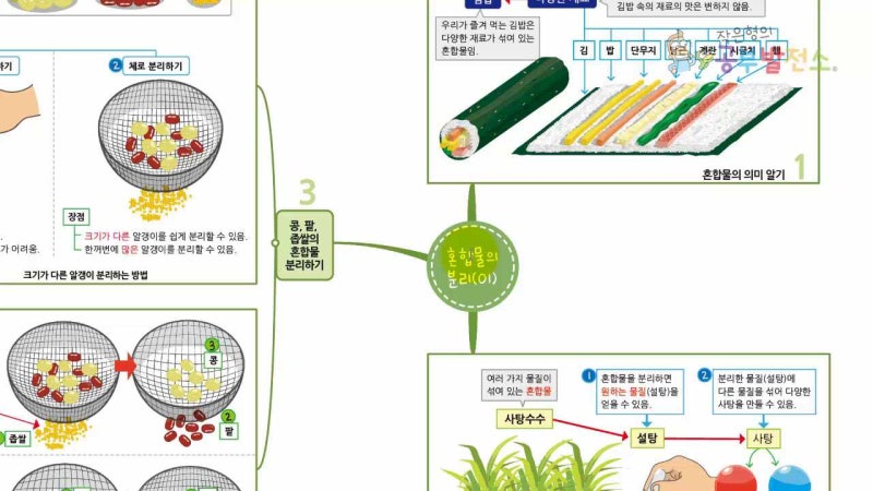 4학년 1학기 과학_혼합물의 분리(01)(혼합물의 의미 / 콩, 팥, 좁쌀의 혼합물 분리)