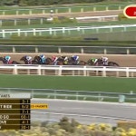The Evolution of Online Horse Racing 