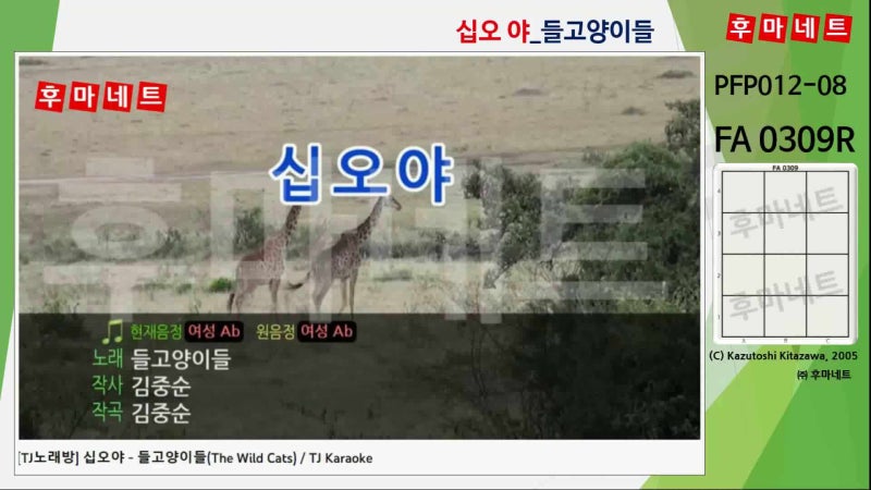 댓글 : PFP012-08 : FA 0309R_십오야_들고양이들 (TJ)