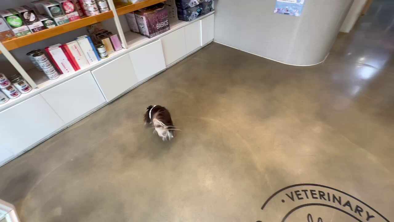 리뷰 사진 2