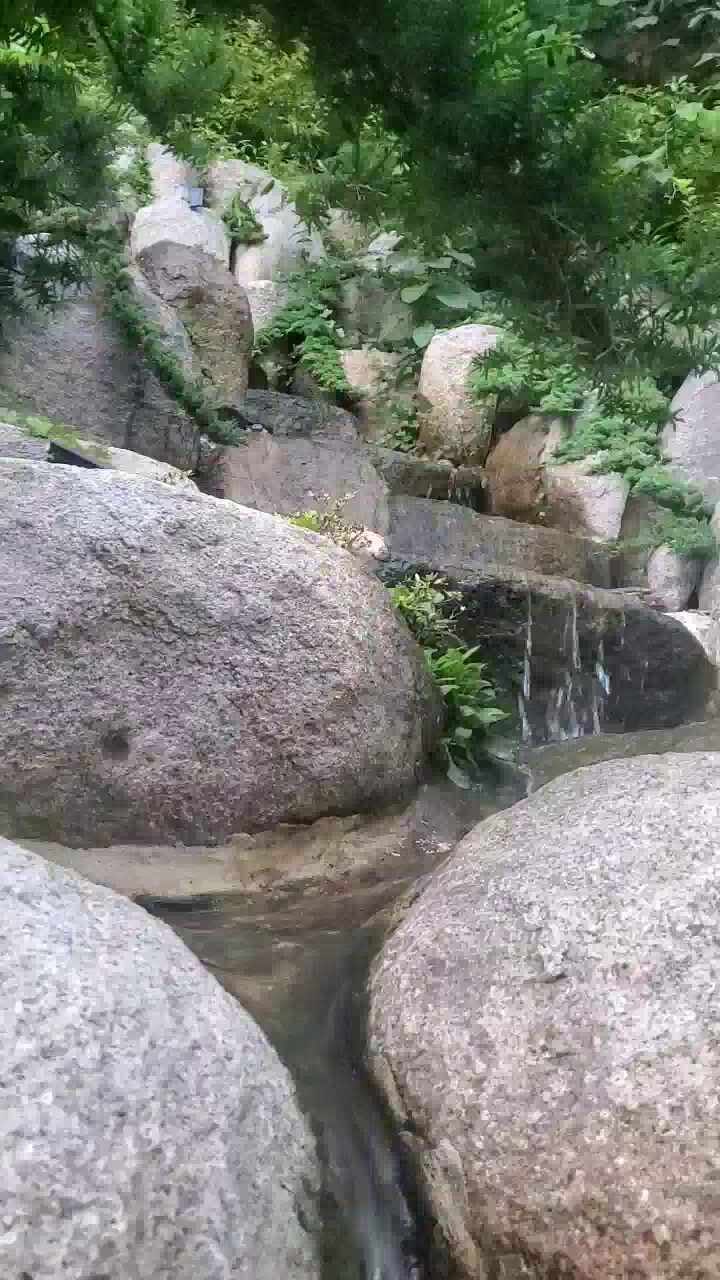 마디정형외과의원