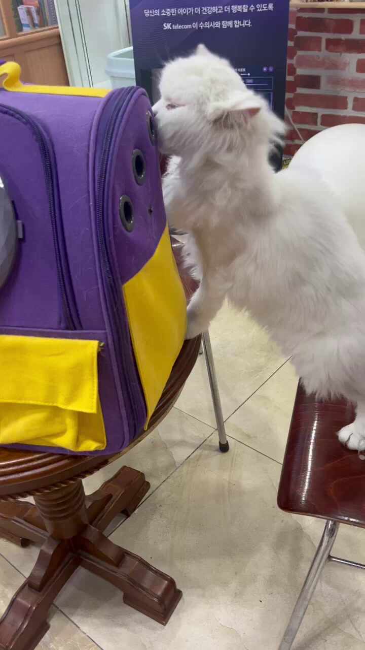 리뷰 사진 1