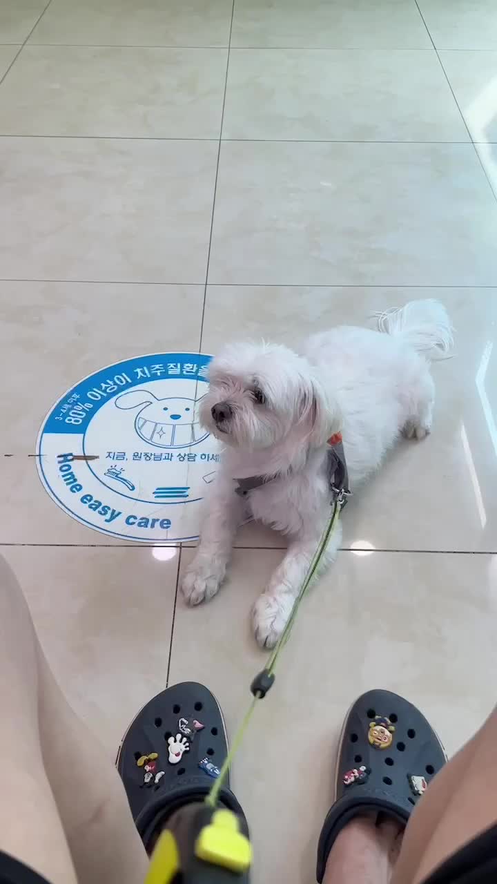 리뷰 사진 1