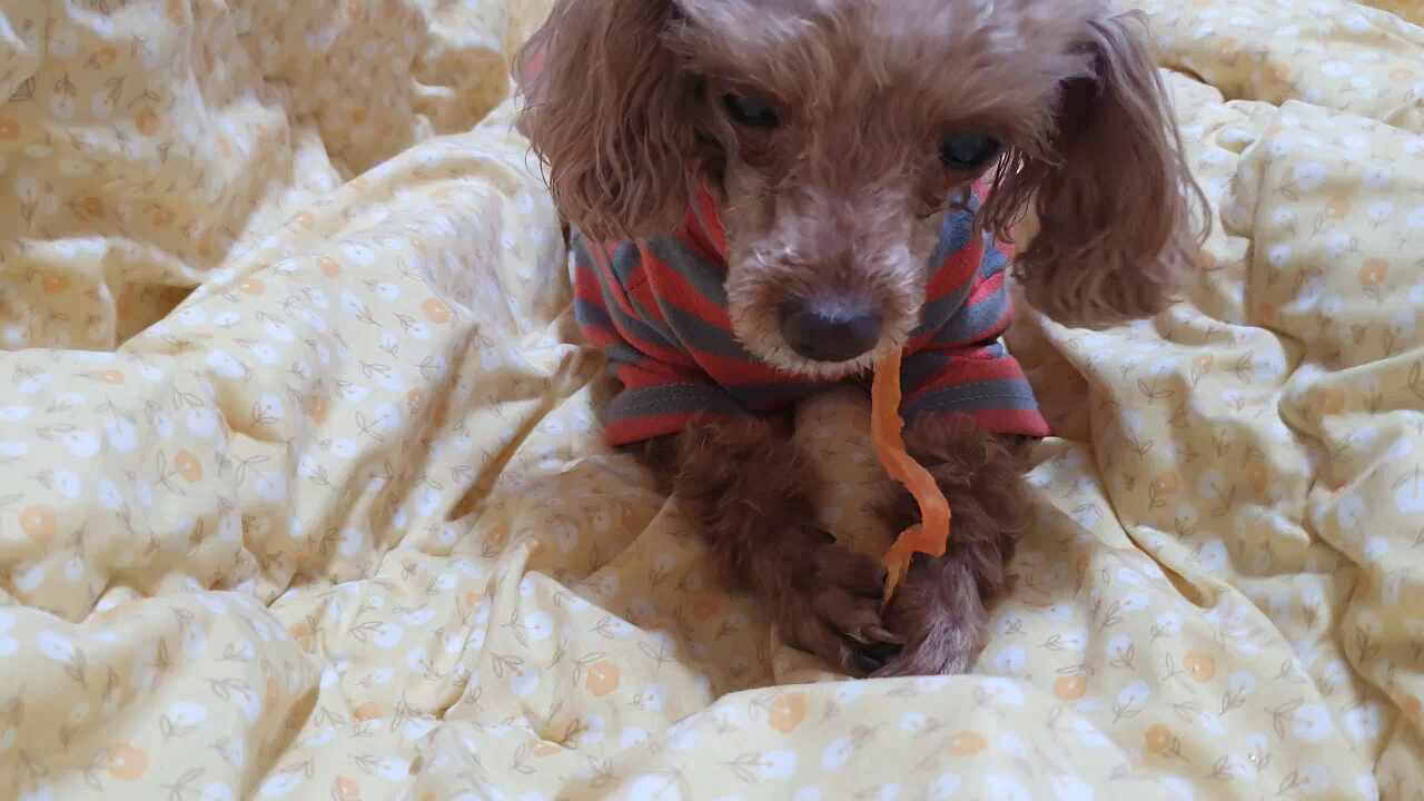 리뷰 사진 1