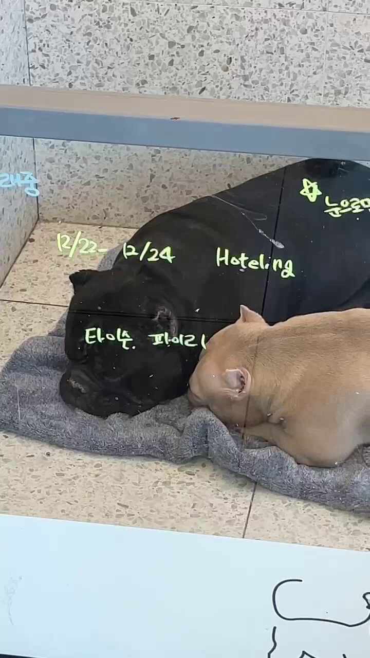 리뷰 사진 1