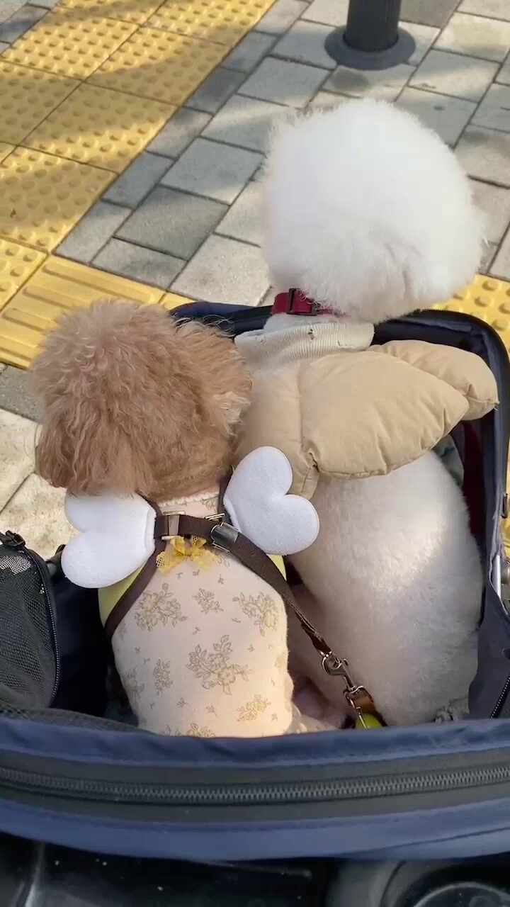 리뷰 사진 1