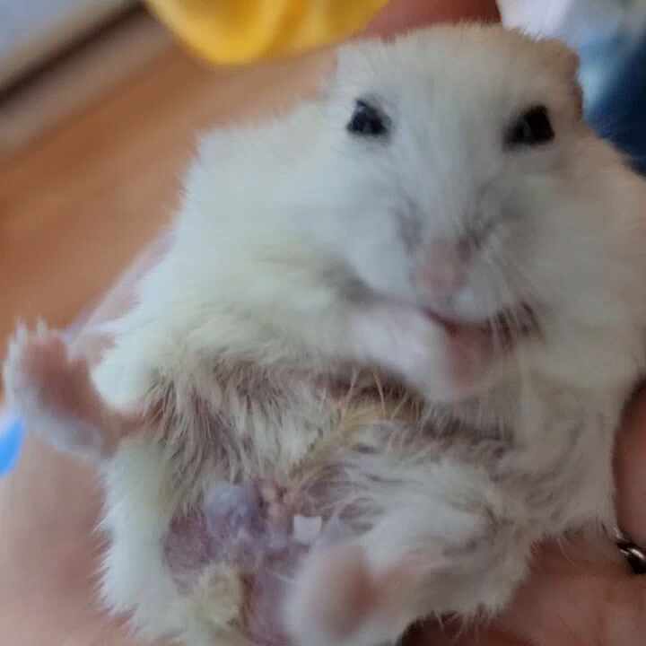 리뷰 사진 1