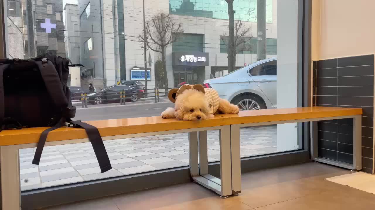 리뷰 사진 1