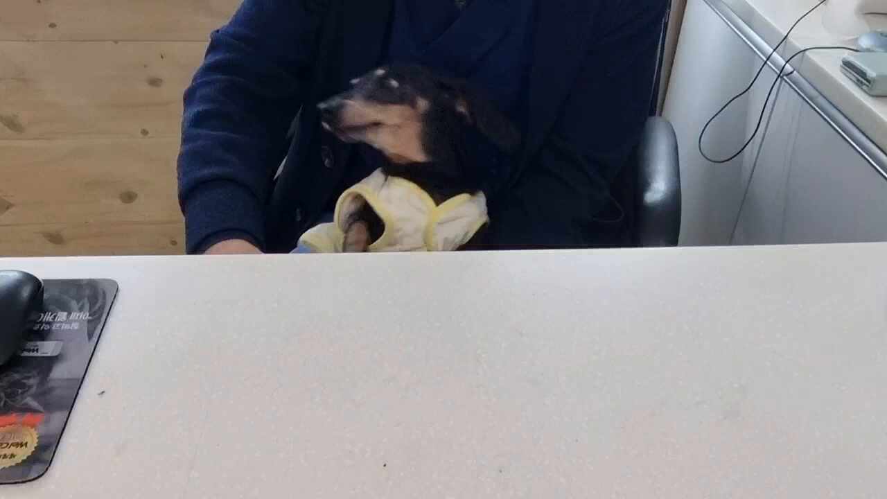 리뷰 사진 1