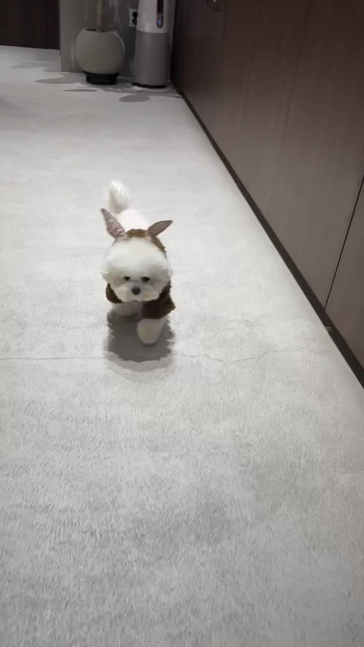 리뷰 사진 1