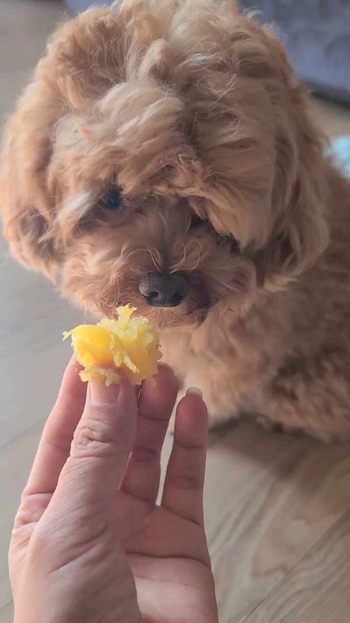 리뷰 사진 1
