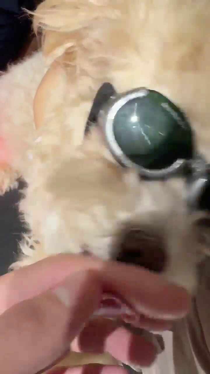 리뷰 사진 2