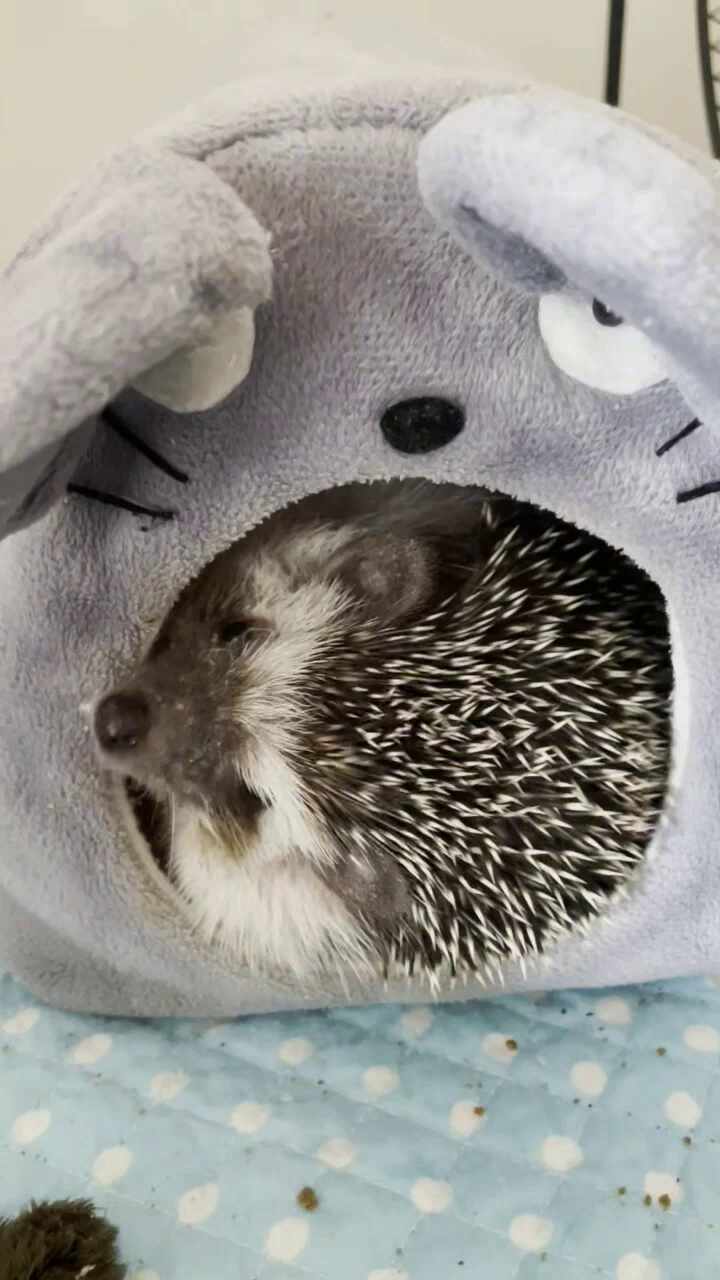 리뷰 사진 1
