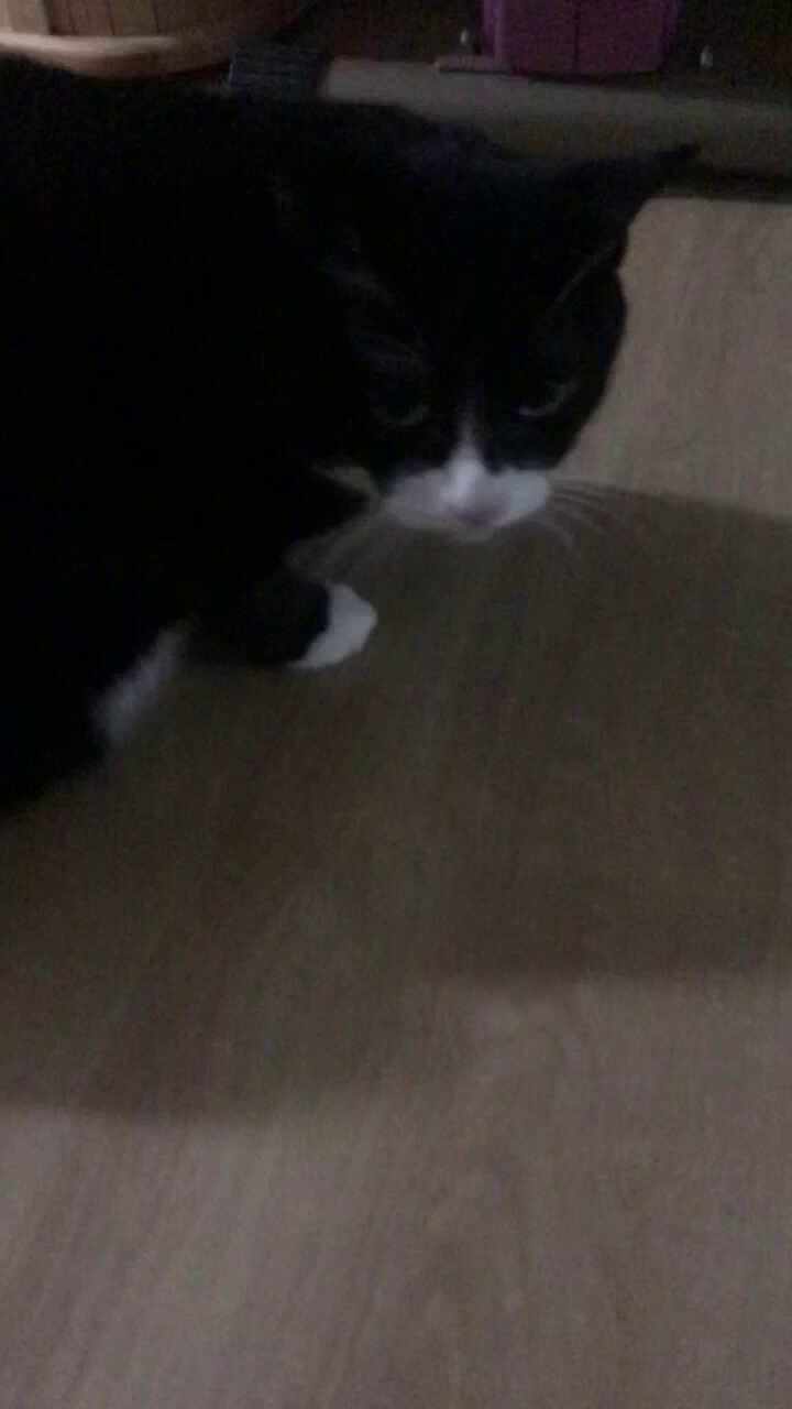 리뷰 사진 1