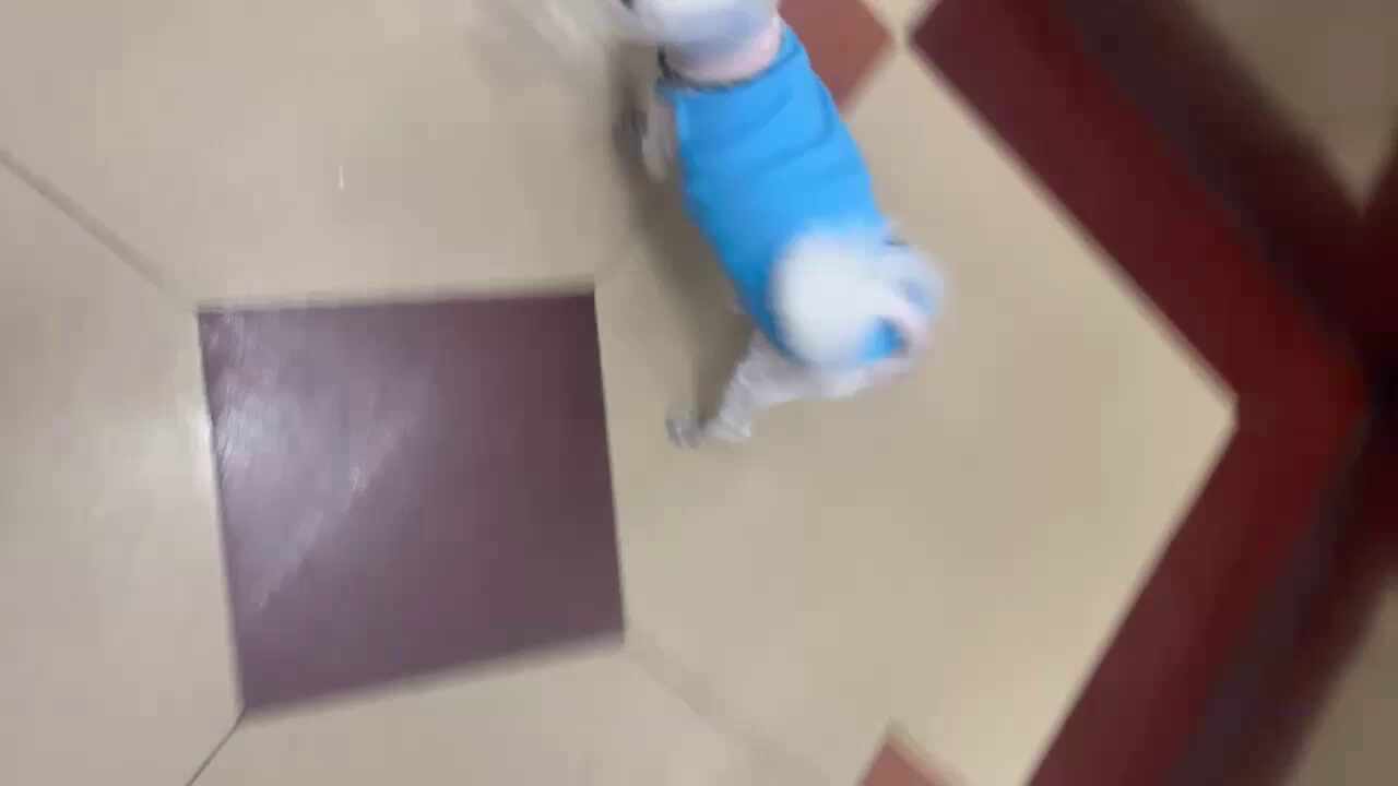 리뷰 사진 1