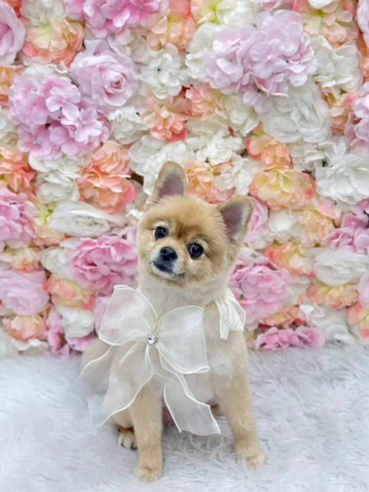리뷰 사진 7