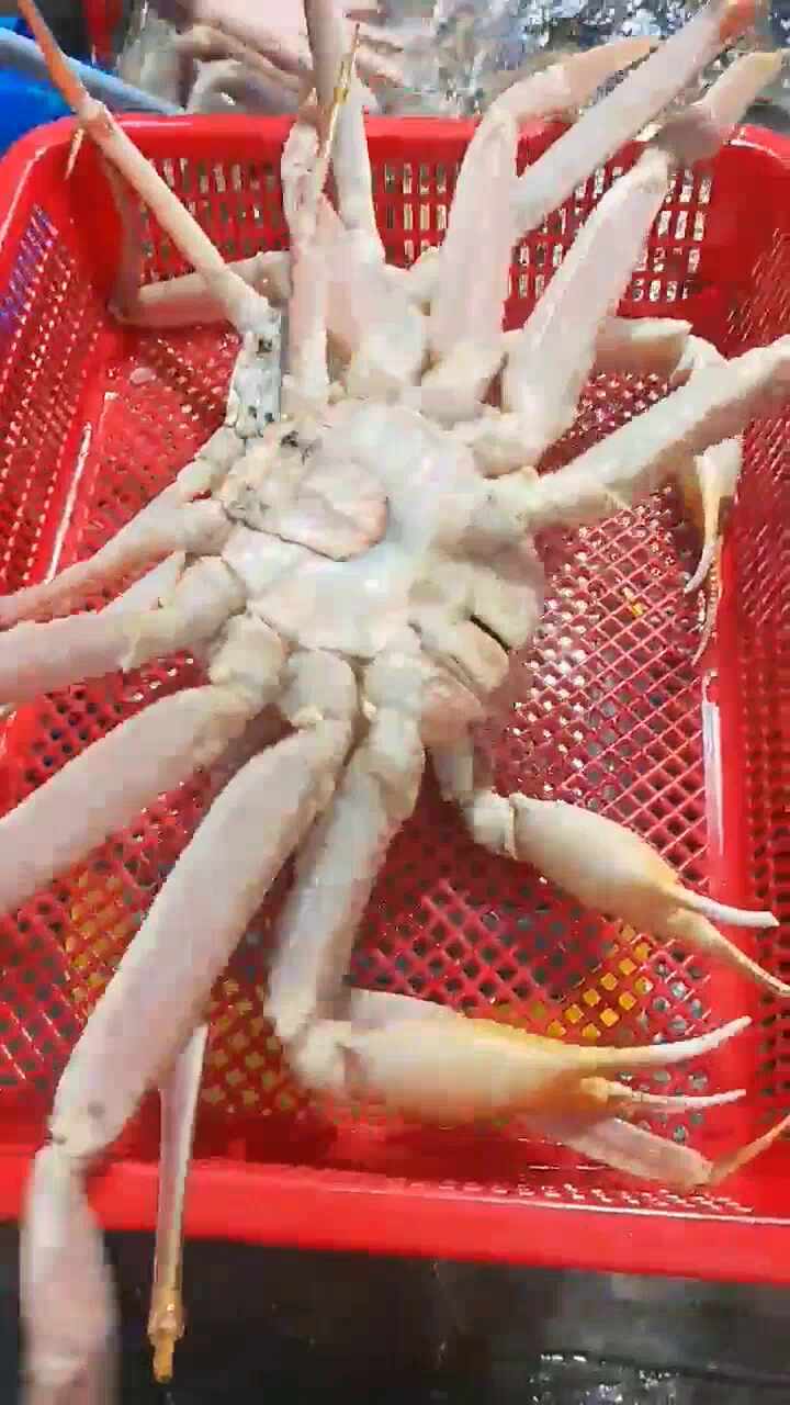 속초농협하나로마트 중앙시장점 (Sokcho Nonghyup Hanaro Mart Jungang Market Branch) 5