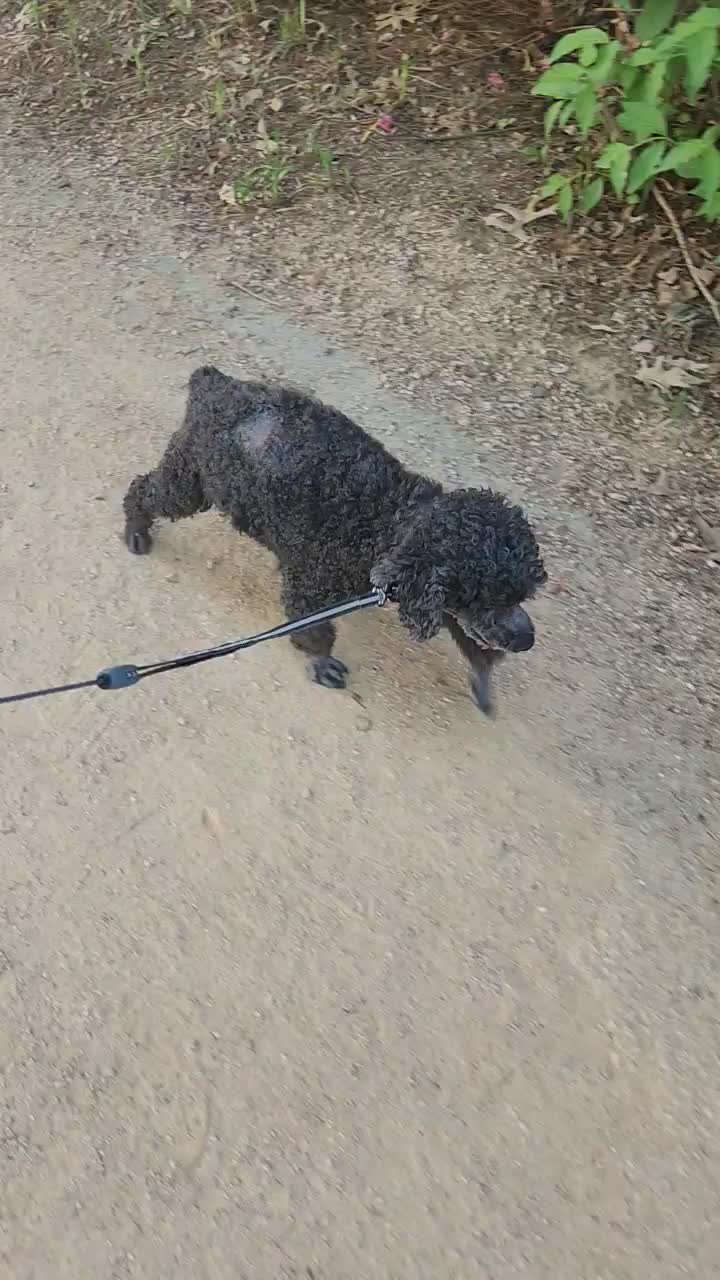 리뷰 사진 1