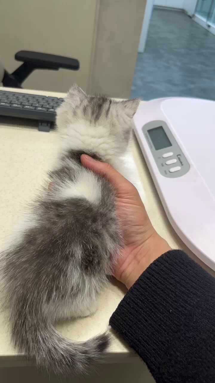 리뷰 사진 1