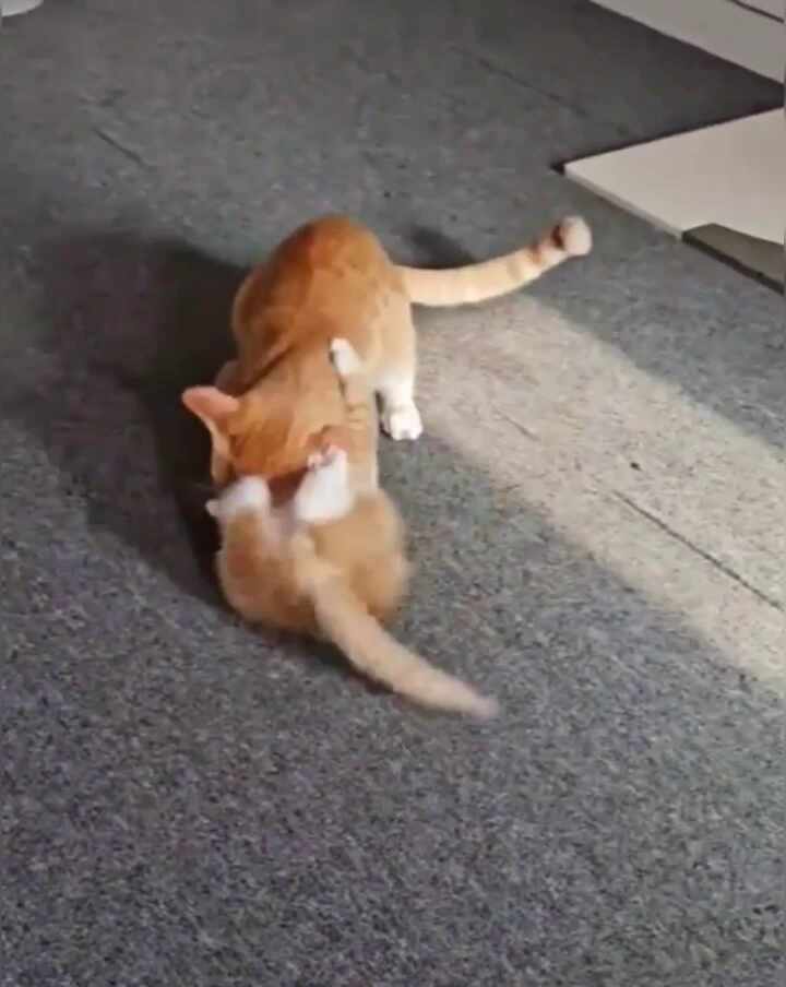 리뷰 사진 2