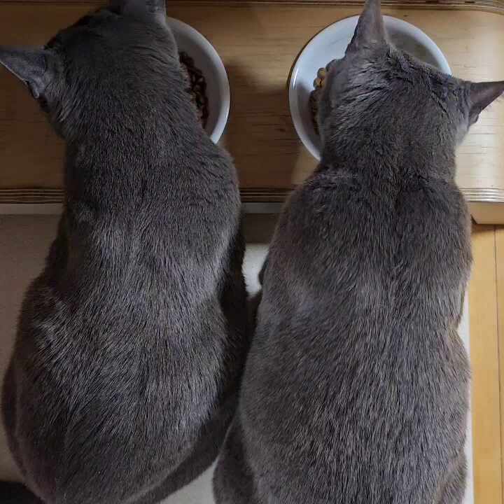 리뷰 사진 2