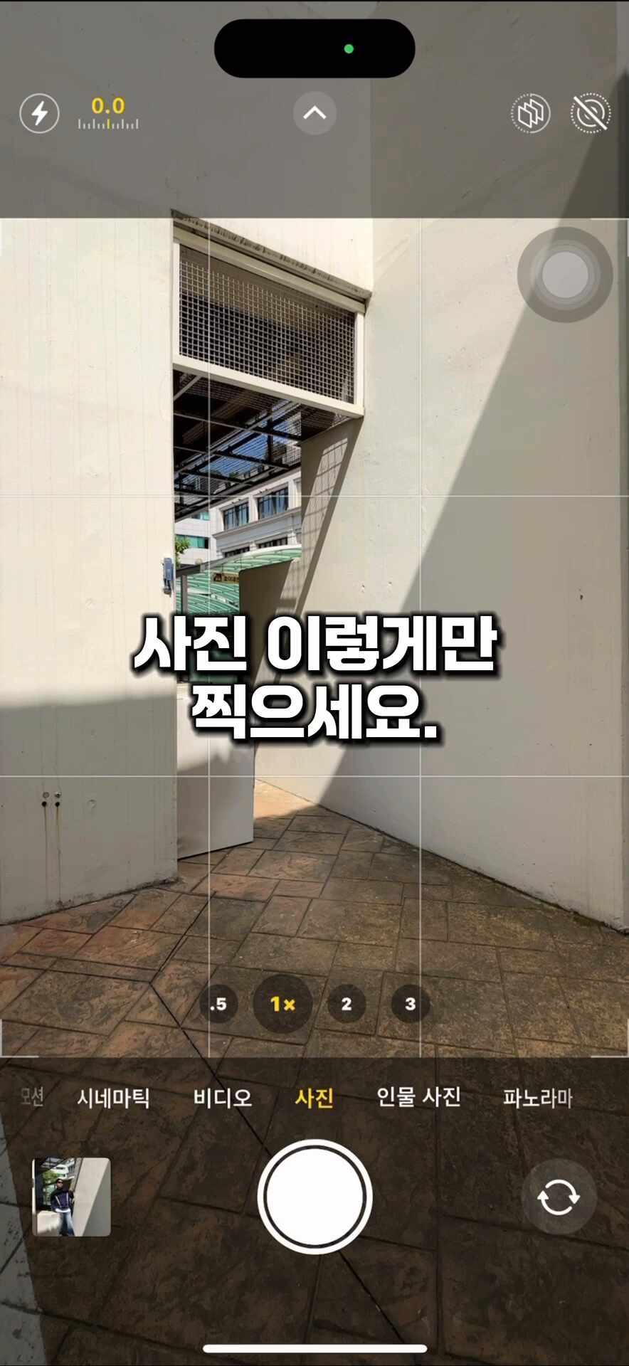 스타일 카드