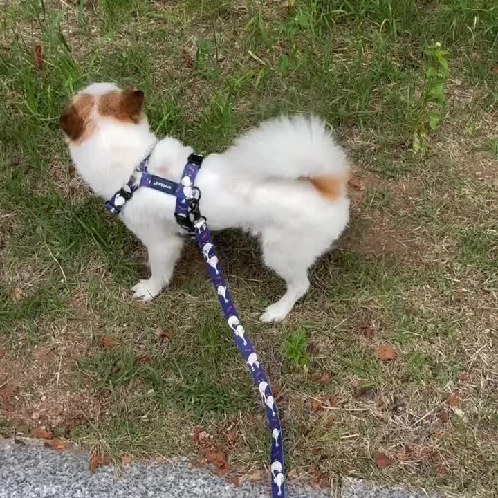 리뷰 사진 2