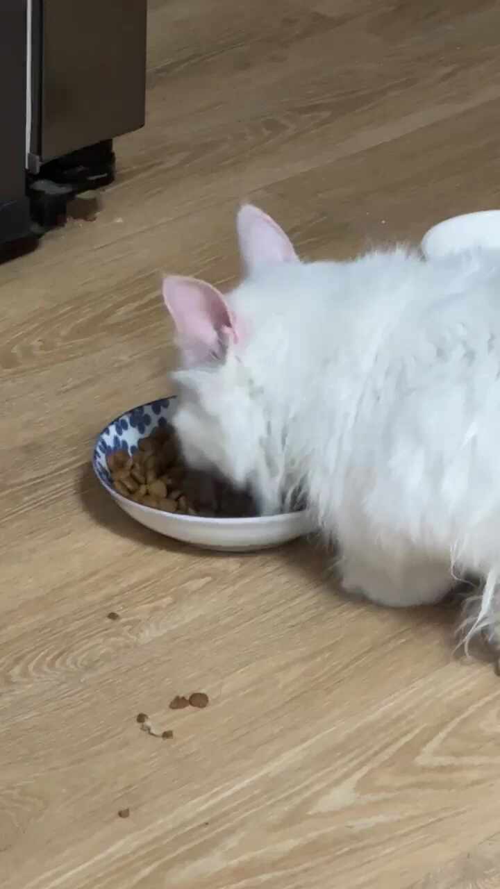 리뷰 사진 3