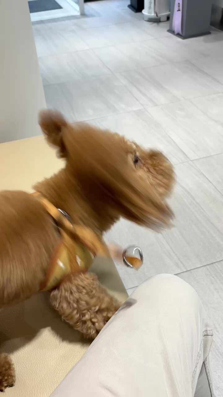 리뷰 사진 1
