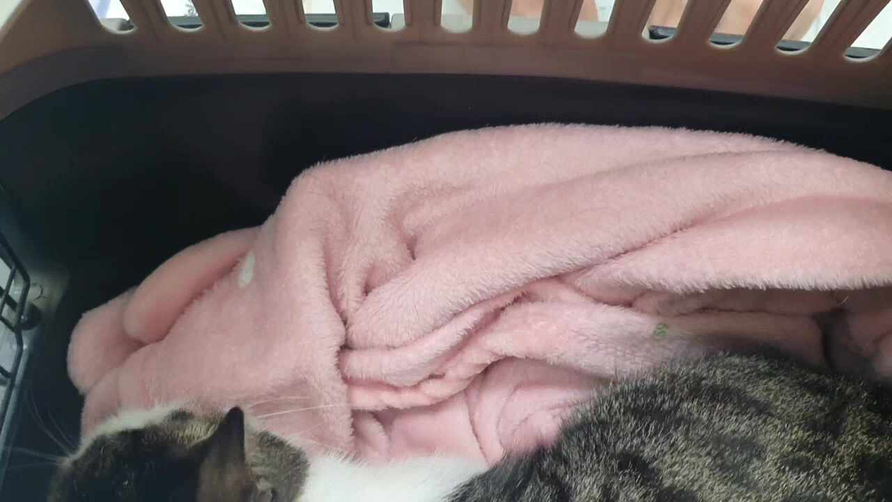 리뷰 사진 1