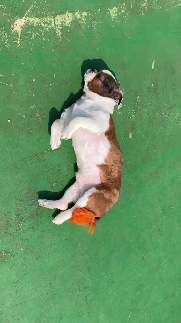 리뷰 사진 2