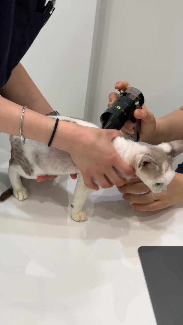 리뷰 사진 1