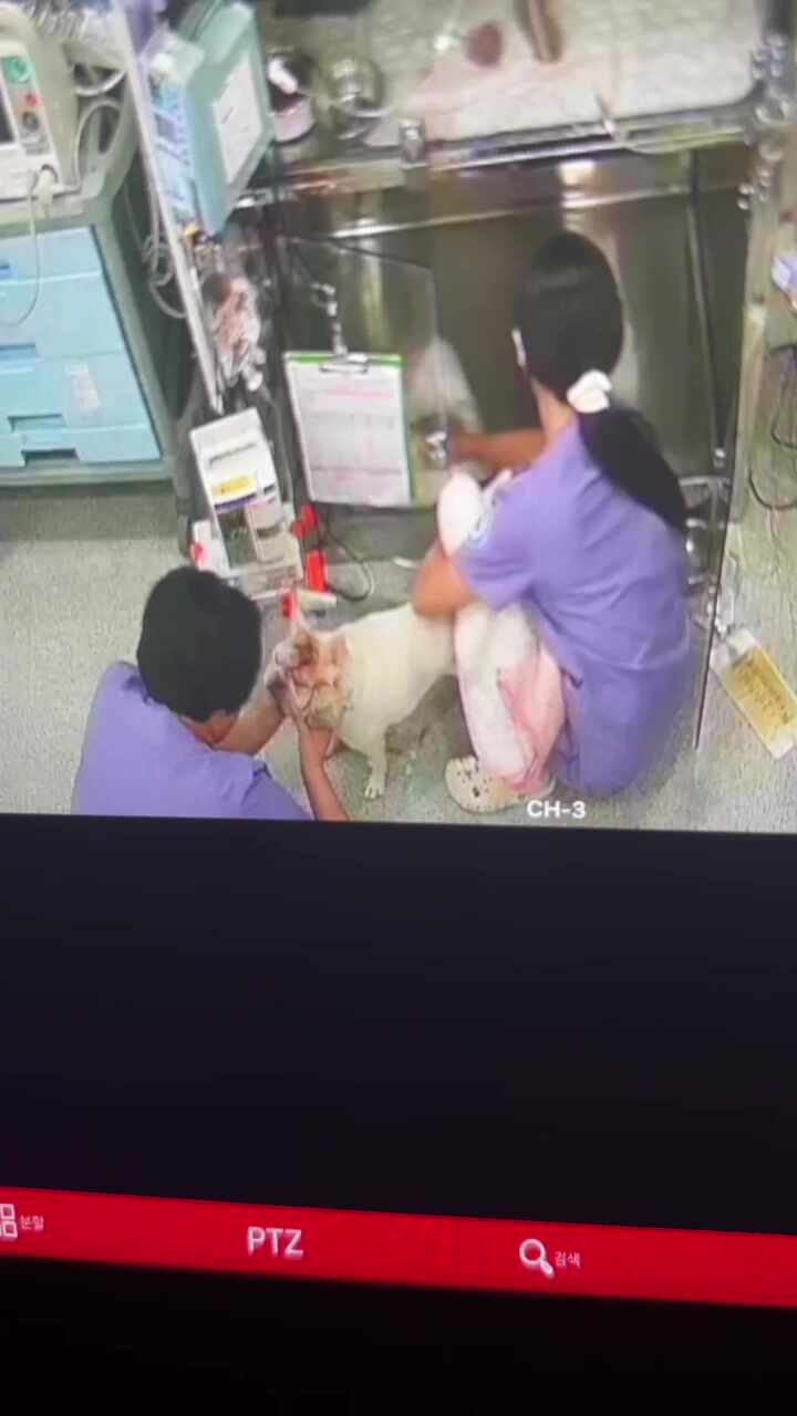 리뷰 사진 2