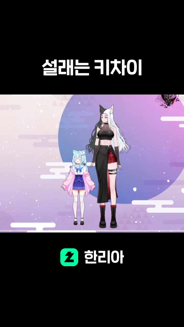 설래는 키차이