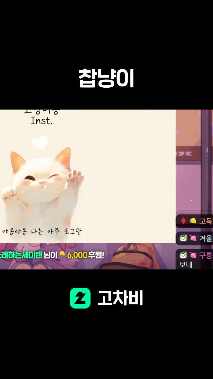 찹냥이