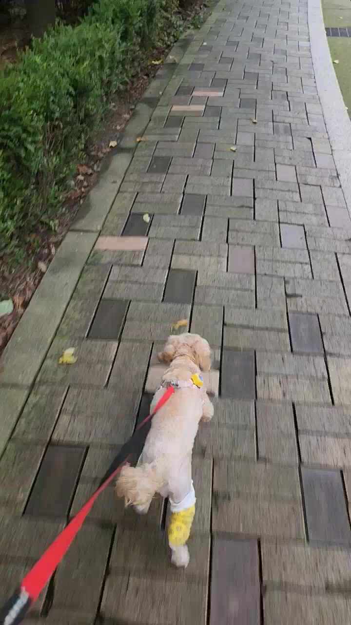 리뷰 사진 1