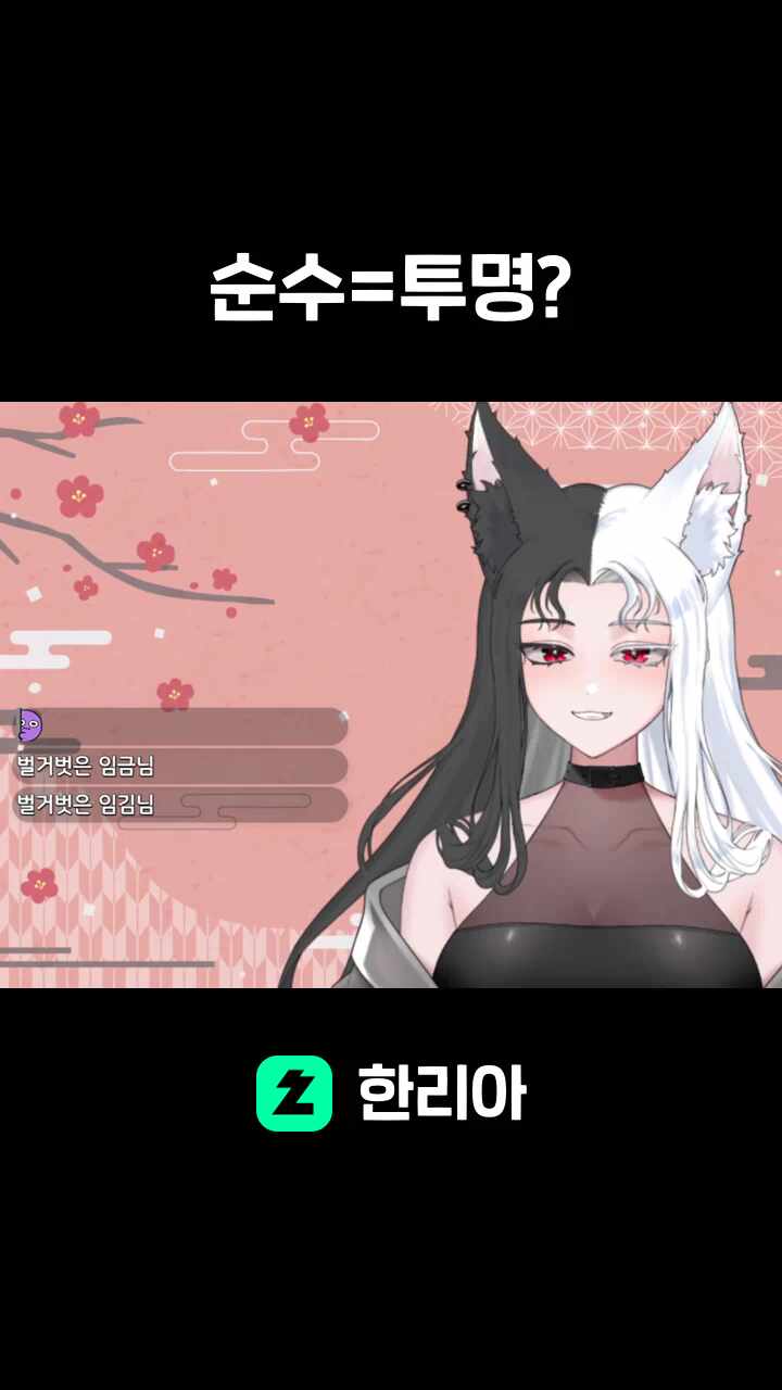 순수=투명?