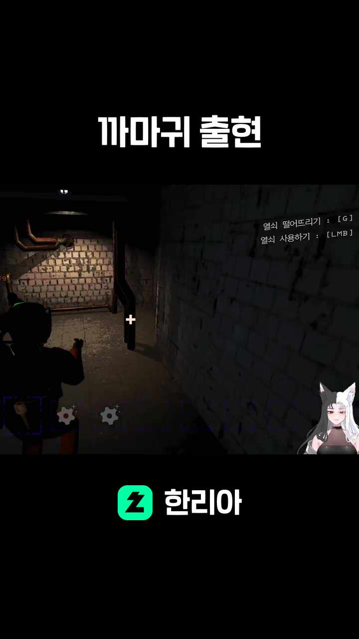 까마귀 출현