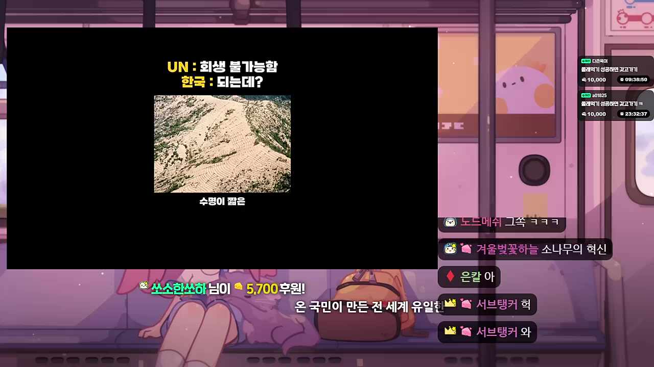 고차비가 울부지저따