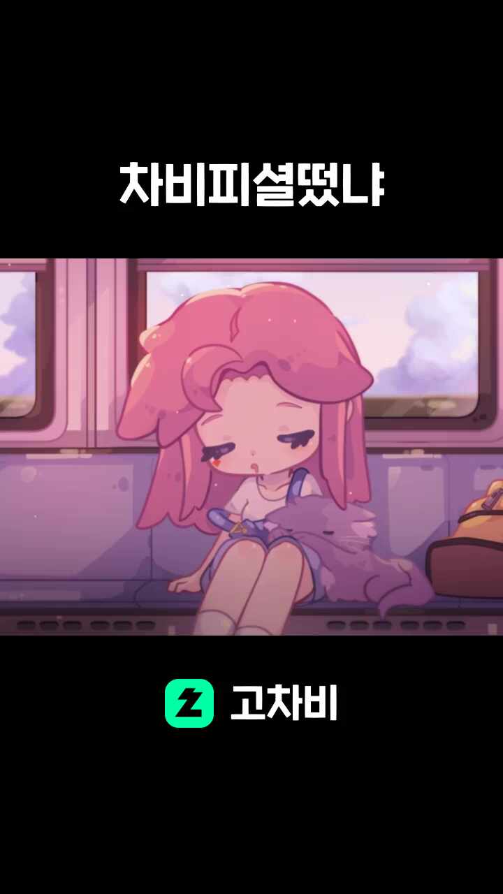 차비피셜떴냐