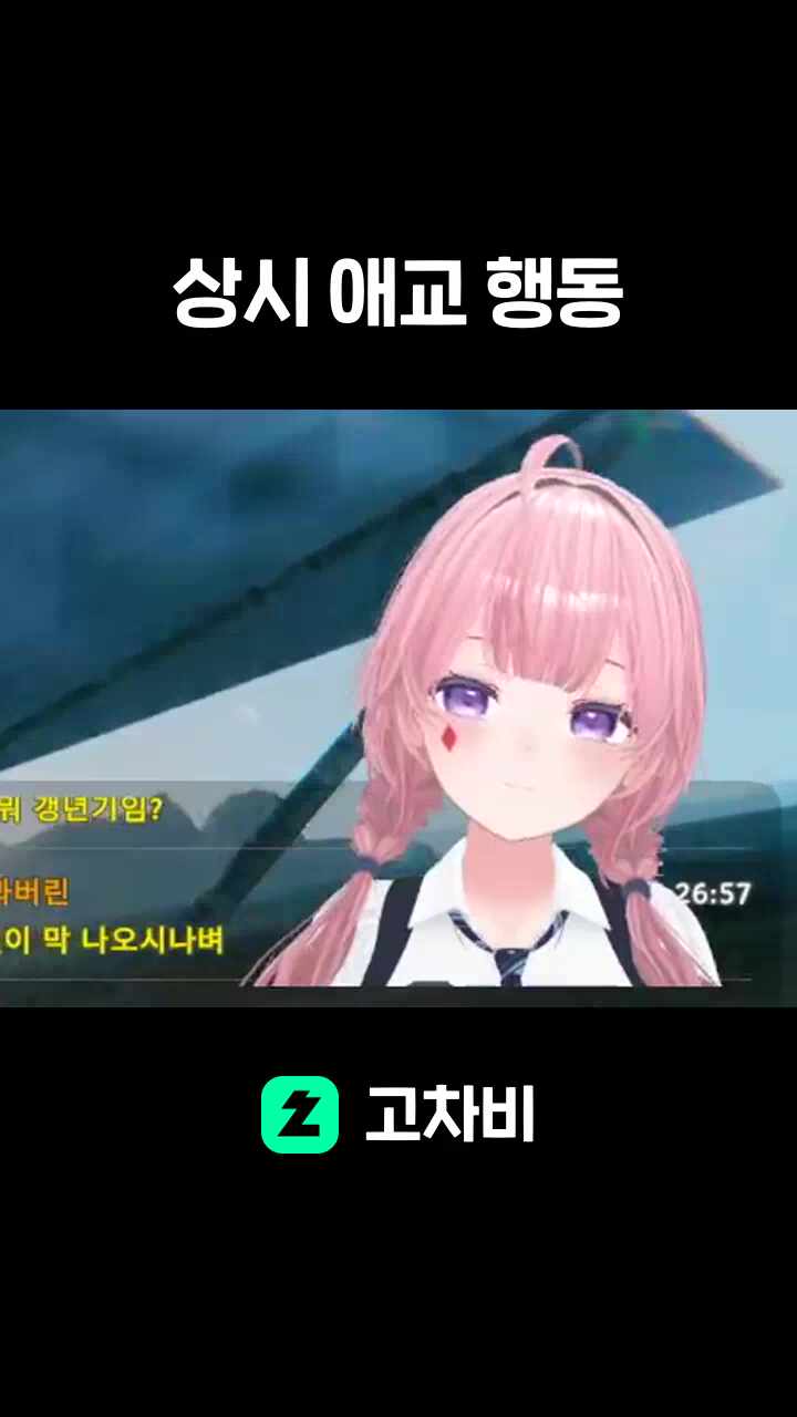 상시 애교 행동