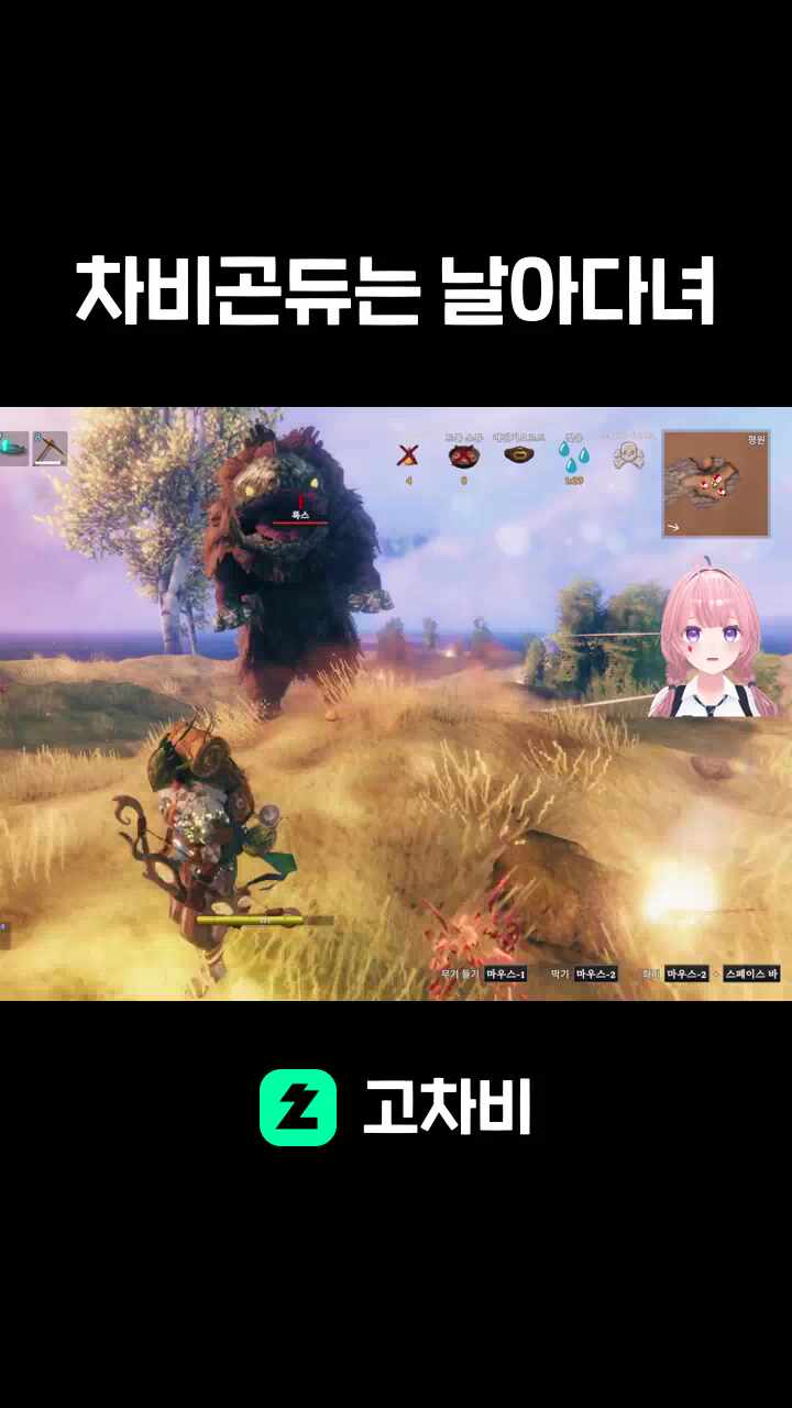 차비곤듀는 날아다녀
