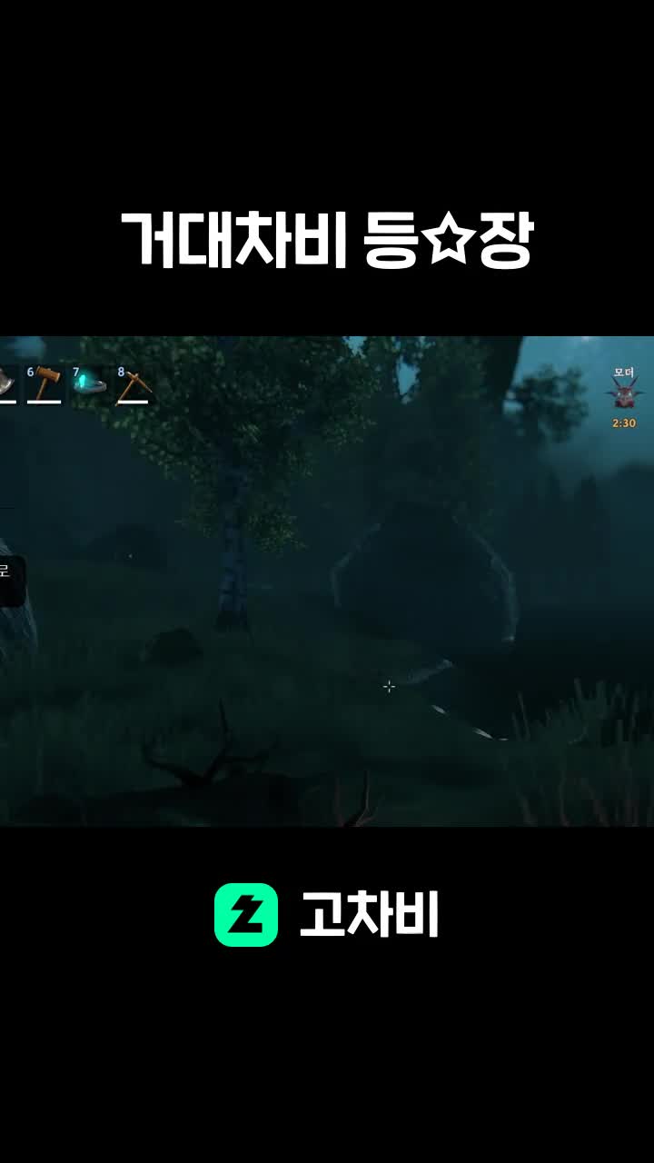 거대차비 등☆장