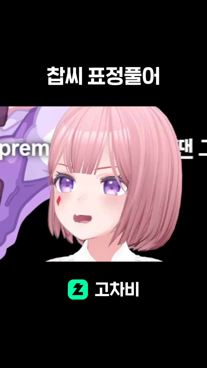 찹씨 표정풀어